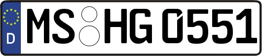 MS-HG0551