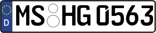 MS-HG0563