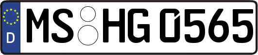 MS-HG0565