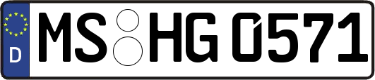 MS-HG0571