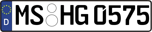 MS-HG0575