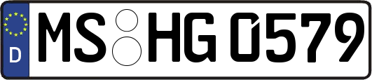 MS-HG0579
