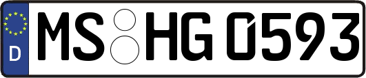 MS-HG0593