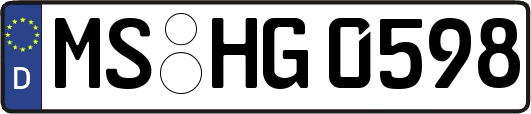 MS-HG0598