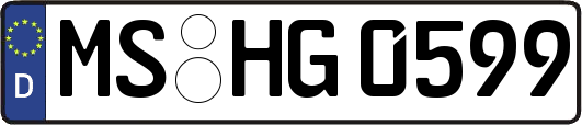 MS-HG0599