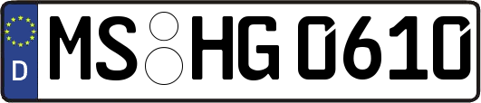 MS-HG0610