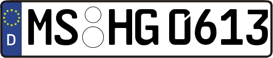 MS-HG0613