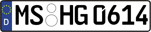 MS-HG0614