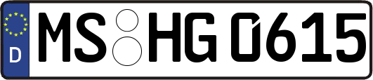 MS-HG0615