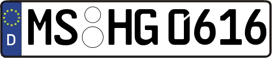 MS-HG0616