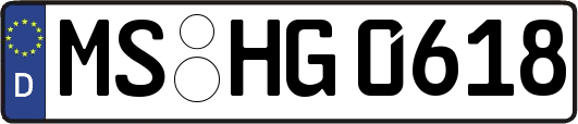 MS-HG0618