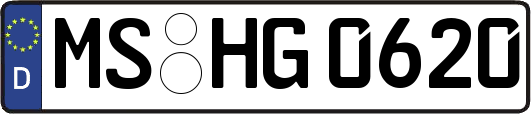 MS-HG0620