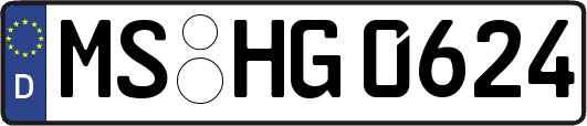 MS-HG0624