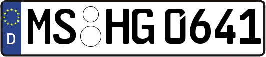 MS-HG0641