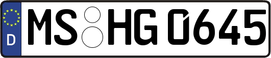 MS-HG0645