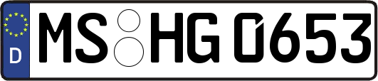 MS-HG0653