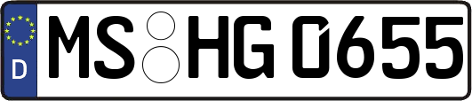 MS-HG0655