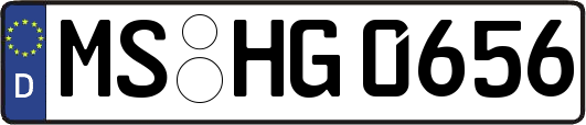 MS-HG0656