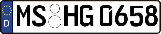 MS-HG0658