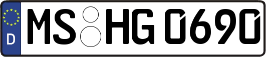 MS-HG0690
