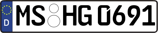 MS-HG0691