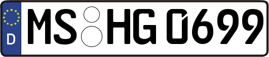 MS-HG0699