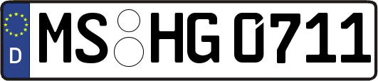 MS-HG0711
