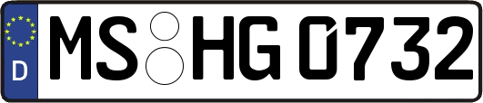 MS-HG0732