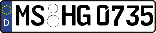 MS-HG0735
