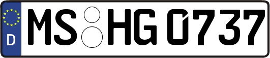 MS-HG0737