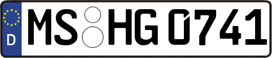 MS-HG0741