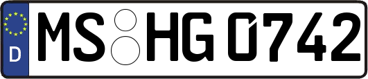 MS-HG0742