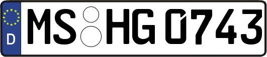 MS-HG0743