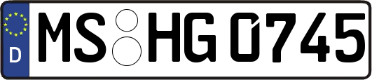 MS-HG0745