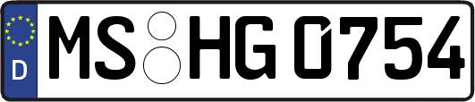 MS-HG0754