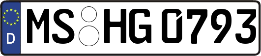 MS-HG0793