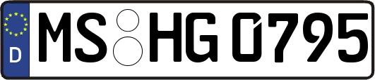MS-HG0795
