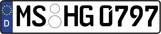 MS-HG0797