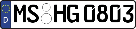 MS-HG0803