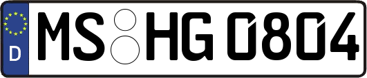 MS-HG0804