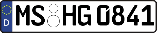 MS-HG0841