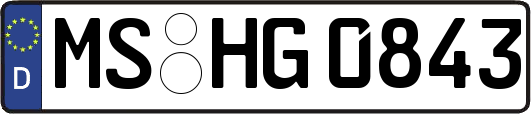 MS-HG0843