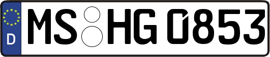 MS-HG0853