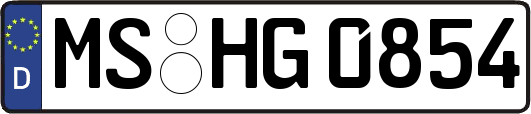 MS-HG0854