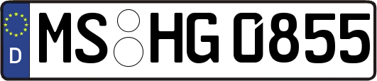 MS-HG0855