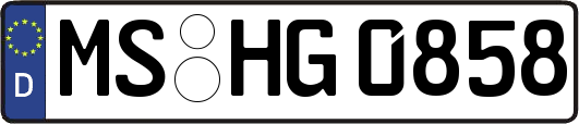 MS-HG0858