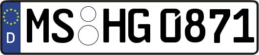 MS-HG0871