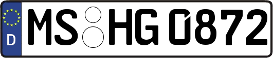 MS-HG0872