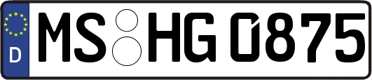 MS-HG0875