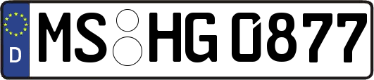 MS-HG0877